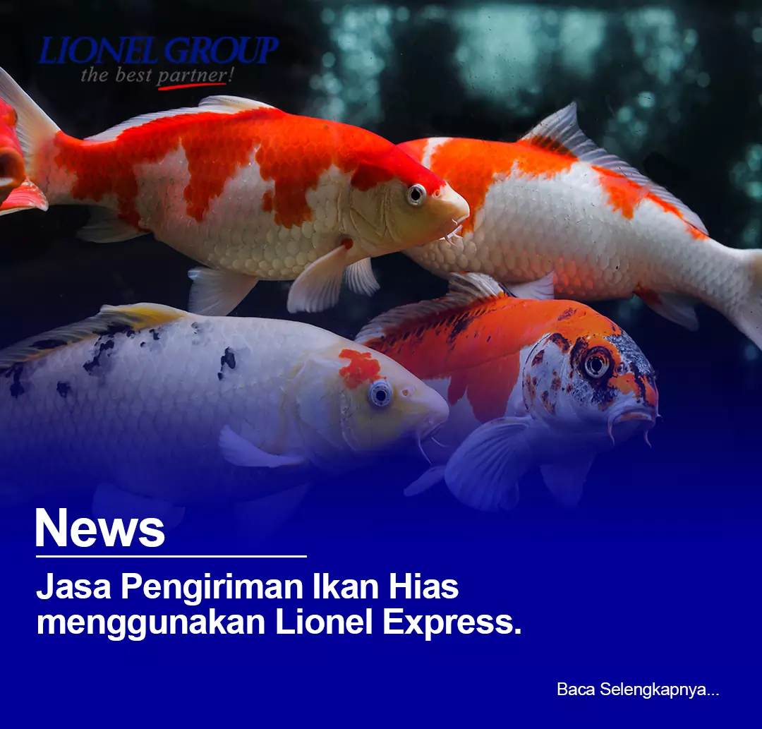 Jasa Pengiriman Ikan Hias
